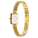 stainless steel case back